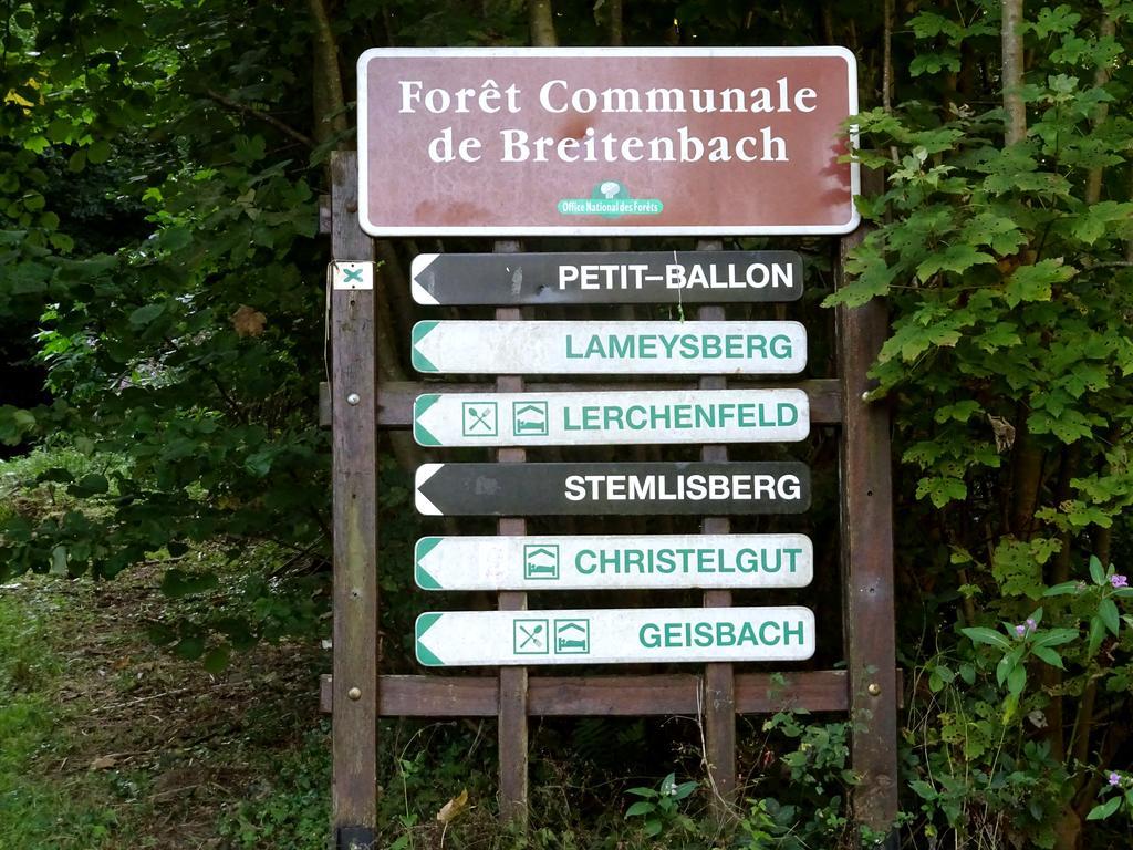 Gite Chez Mimie Breitenbach-Haut-Rhin Exterior photo